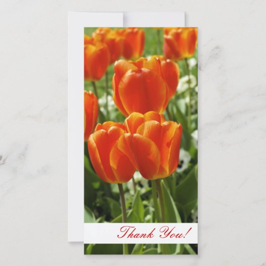 Thank You Photo Card サンキューカード (正面)