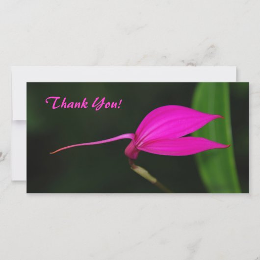 Thank You Photo Card サンキューカード (正面)