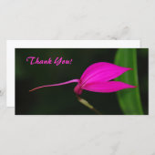 Thank You Photo Card サンキューカード (正面/裏面)