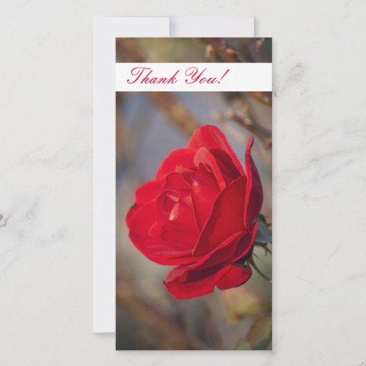 Thank You Photo Card サンキューカード (正面)