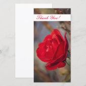 Thank You Photo Card サンキューカード (正面/裏面)