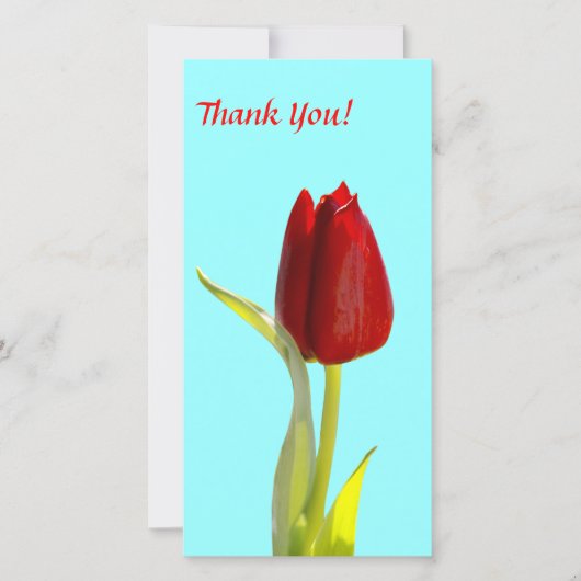 Thank You Photo Card サンキューカード (正面)