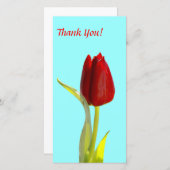 Thank You Photo Card サンキューカード (正面/裏面)