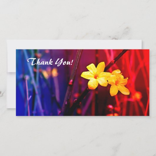 Thank You Photo Card サンキューカード (正面)