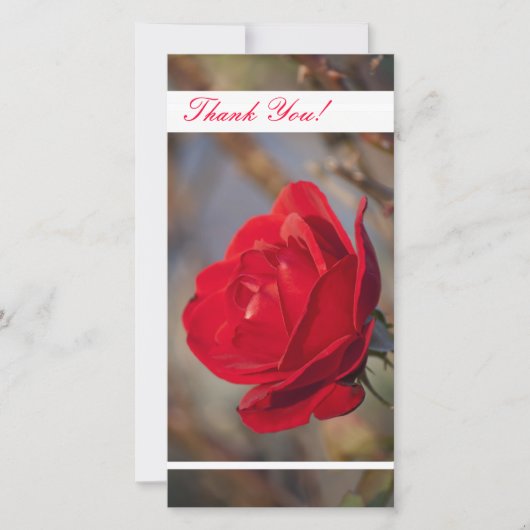 Thank You Photo Card サンキューカード (正面)