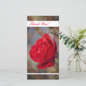 Thank You Photo Card サンキューカード (スタンド正面)