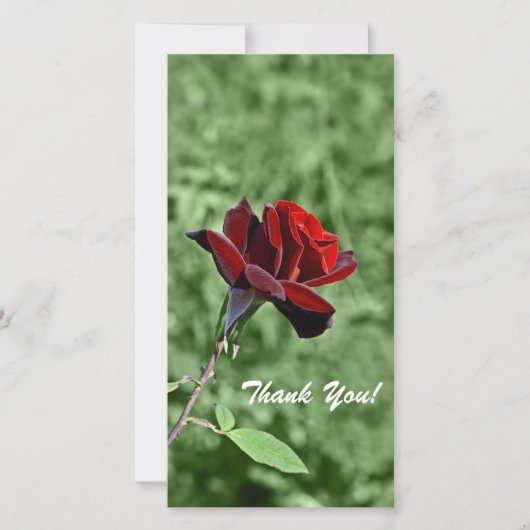 Thank You Photo Card サンキューカード (正面)