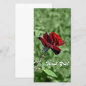 Thank You Photo Card サンキューカード (正面/裏面)