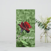 Thank You Photo Card サンキューカード (スタンド正面)