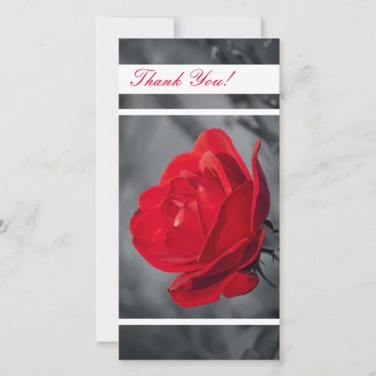 Thank You Photo Card サンキューカード (正面)