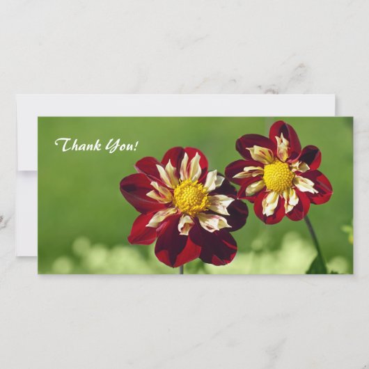 Thank You Photo Card サンキューカード (正面)