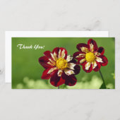 Thank You Photo Card サンキューカード (正面/裏面)