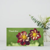 Thank You Photo Card サンキューカード (スタンド正面)