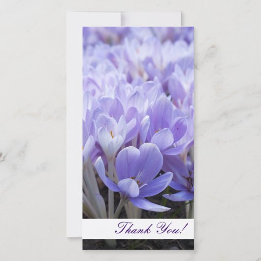 Thank You Photo Card サンキューカード (正面)