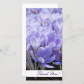 Thank You Photo Card サンキューカード (正面/裏面)