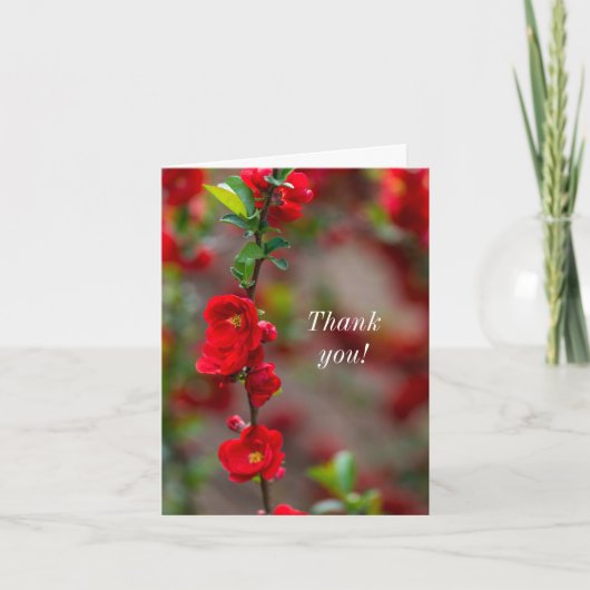 Thank you Scarlet Line サンキューカード (正面)