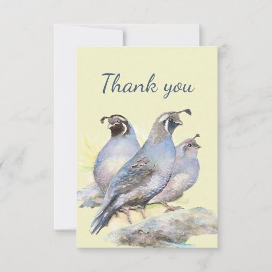 Thank You Water Color California Quail Bird自然 サンキューカード (正面)