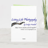 Thank You Waterfallカード サンキューカード (裏面)