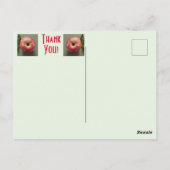 Thank You with an Apple ポストカード (裏面)