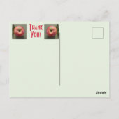 Thank You with an Apple ポストカード (裏面)