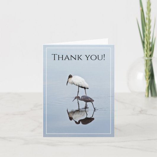 Thank You Wood Stork & Blue Heron Reflection写真 カード (正面)