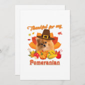 Thankful My Pomeranian Dog Thanksgiving Im Pumpki シーズンカード (正面/裏面)