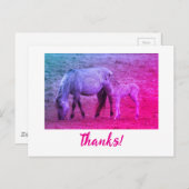 Thanks ポストカード (正面/裏面)