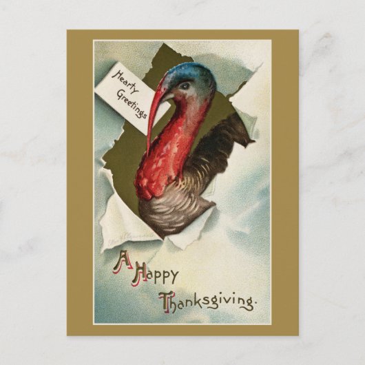  Thanksgiving turkey vintage art drawing ポストカード (正面)