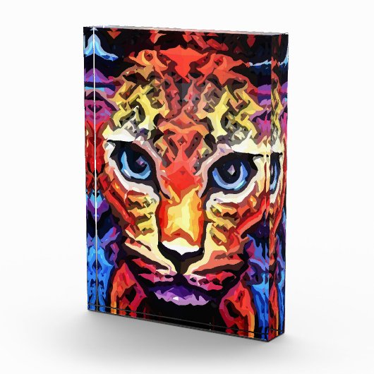 That Colorful Leopard Look  フォトブロック (右)