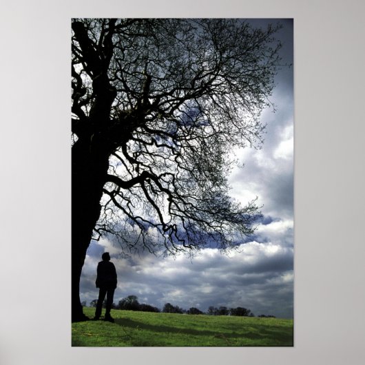 That Gone With The Wind Tree ポスター (正面)