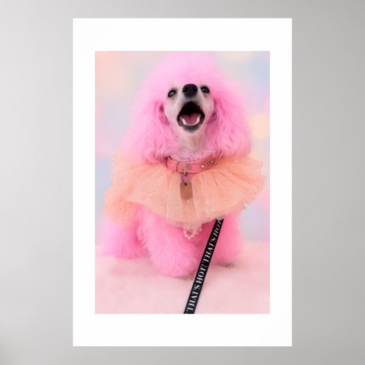 That’s Hot That’s Pink Retro Kawaii Poodle Poster ポスター (正面)