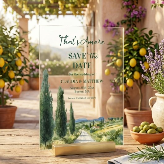 That's Amore Italian View Wedding Save the Date アクリル招待状