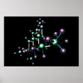 THC #6 ポスター (正面)