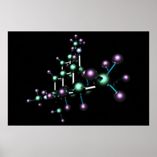 THC #6 ポスター (正面)