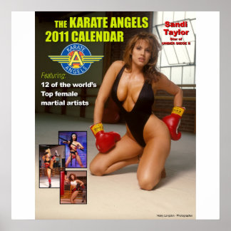 The_2011_Karate_Angels_Calendar ポスター