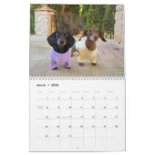 The 2026 Starbox Dachshunds Calendar カレンダー (3月 2026)