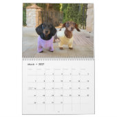 The 2026 Starbox Dachshunds Calendar カレンダー (3月 2027)