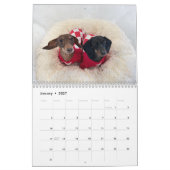 The 2026 Starbox Dachshunds Calendar カレンダー (1月 2027)