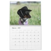 The 2026 Starbox Dachshunds Calendar カレンダー (2月 2027)