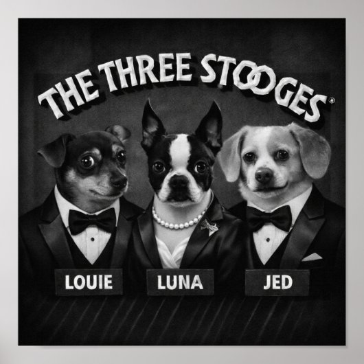 "The 2 Dooges" ポスター (正面)