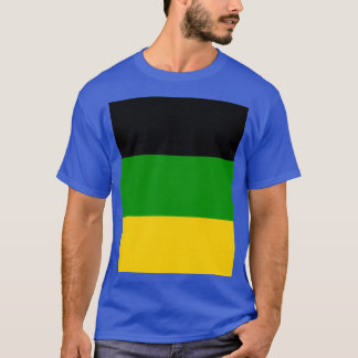 The African National Congress ANC Flag Graphic Tシャツ