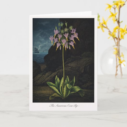 The American Cow-Slip — Modern Botanical Reinterpr カード (黄色い花)