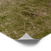 The American lion with Mammoths and Bison，ポスター ポスター (角)