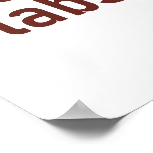 The Ancient Egyptians Used Slabs Of Stone - Histor ポスター (角)