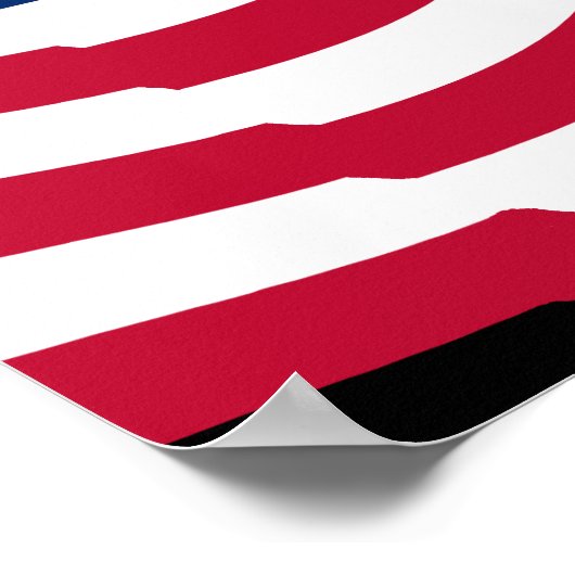 The Antifa Handbook Patriotic (ds) ポスター (角)