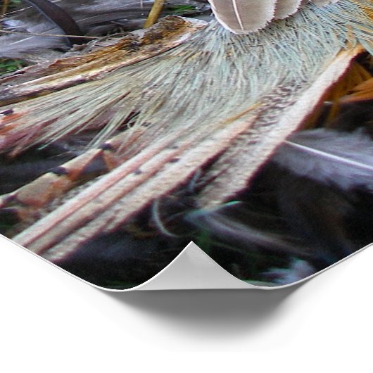 The art of Falconry: Red Tailed Hawk on Pheasant 2 ポスター (角)