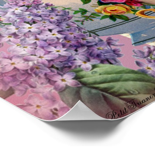 Thé au Petit Trianon – rose ポスター (角)