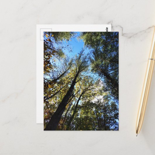 The Autumn Forest ポストカード (正面/裏面インサイチュ)
