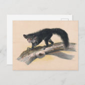 The Aye-Aye by Joseph Wolf ポストカード (正面/裏面)