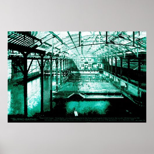 The Bath – ポスター (正面)